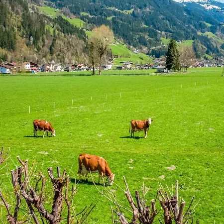 Daire Beautiful In Ramsau With Balcony